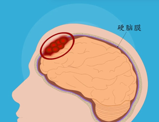 1785829119783872.jpg 屏幕截图 2026-08-04 131346.jpg