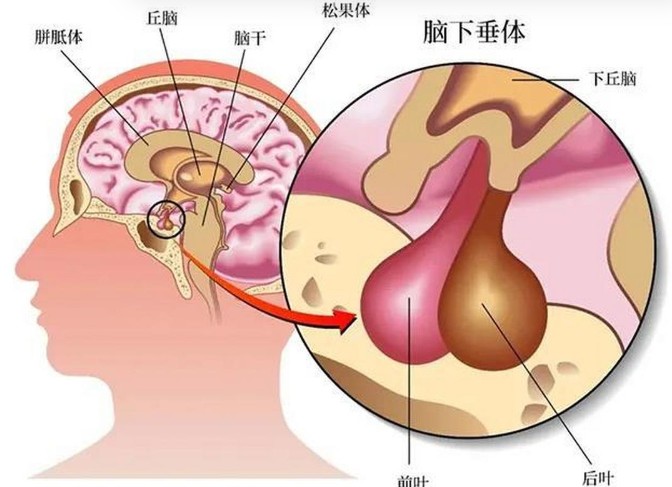 屏幕截图 2026-08-04 131919.jpg