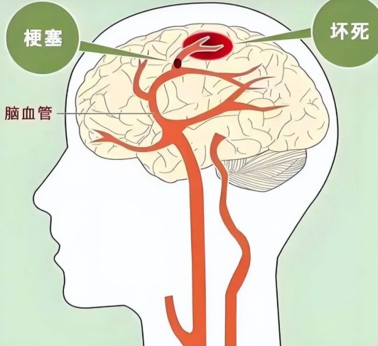 1785830565201388.jpg 屏幕截图 2026-08-04 160027.jpg