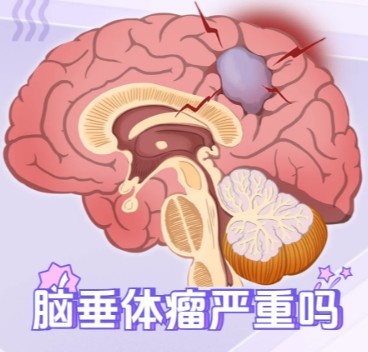 1785830675695321.jpg 屏幕截图 2026-08-04 160424.jpg