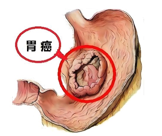 1785831706371735.jpg 屏幕截图 2026-08-04 161443.jpg