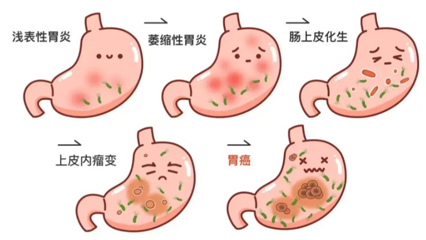 1785831765968823.jpg 屏幕截图 2026-08-04 161651.jpg