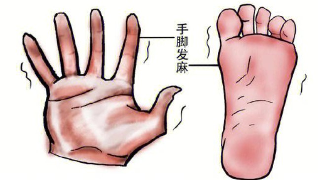 1785914770772487.jpg 屏幕截图 2026-08-05 150215.jpg
