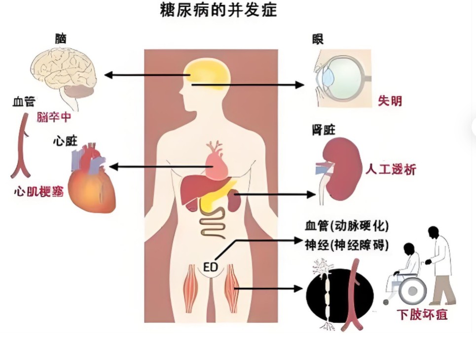 1785915026680933.jpg 屏幕截图 2026-08-05 150953.jpg