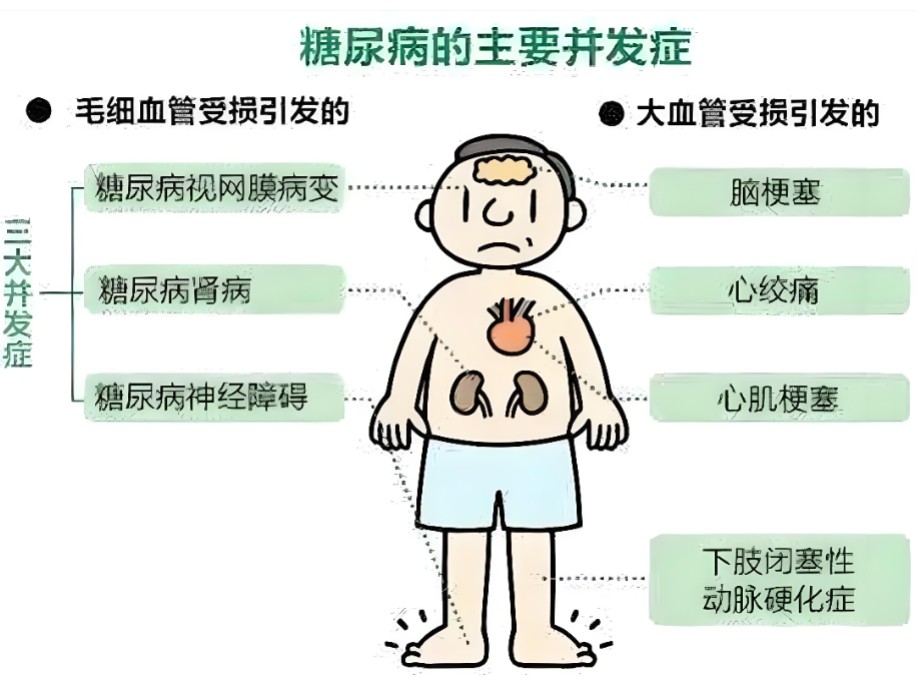 1785915241709492.jpg 屏幕截图 2026-08-05 151745.jpg