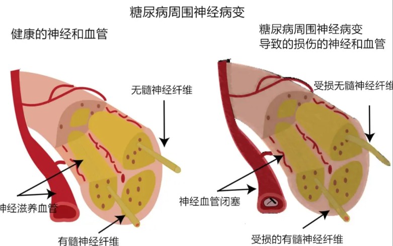 1785915402480721.jpg 屏幕截图 2026-08-05 152226.jpg