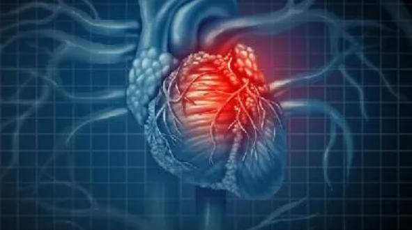 1785921711119530.jpg ScreenShot_2026-08-05_171709_339.jpg