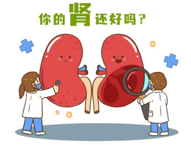 1785923984792642.jpg 屏幕截图 2026-08-05 173231.jpg