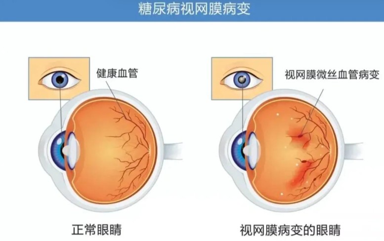 1785925828656231.jpg 屏幕截图 2026-08-05 182729.jpg