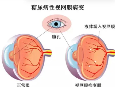 1785925870781658.jpg 屏幕截图 2026-08-05 182746.jpg