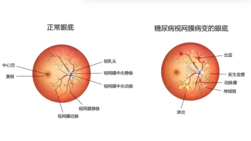 1785925890497119.jpg 屏幕截图 2026-08-05 182801.jpg