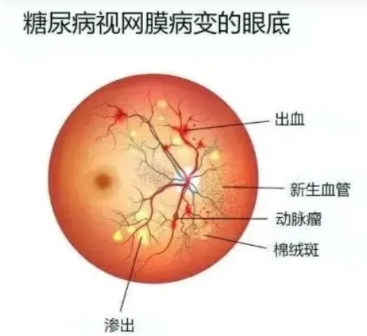 屏幕截图 2026-08-05 184852.jpg