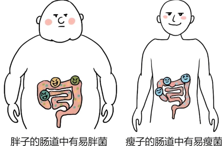 1786083634572417.jpg 屏幕截图 2026-08-07 112343.jpg