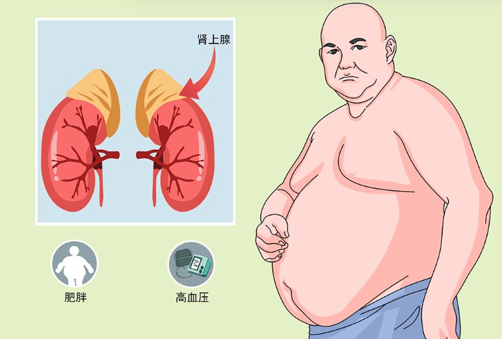 1786083903451118.jpg 屏幕截图 2026-08-07 113731.jpg