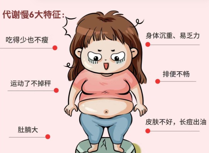 1786092724557950.jpg 屏幕截图 2026-08-07 143741.jpg