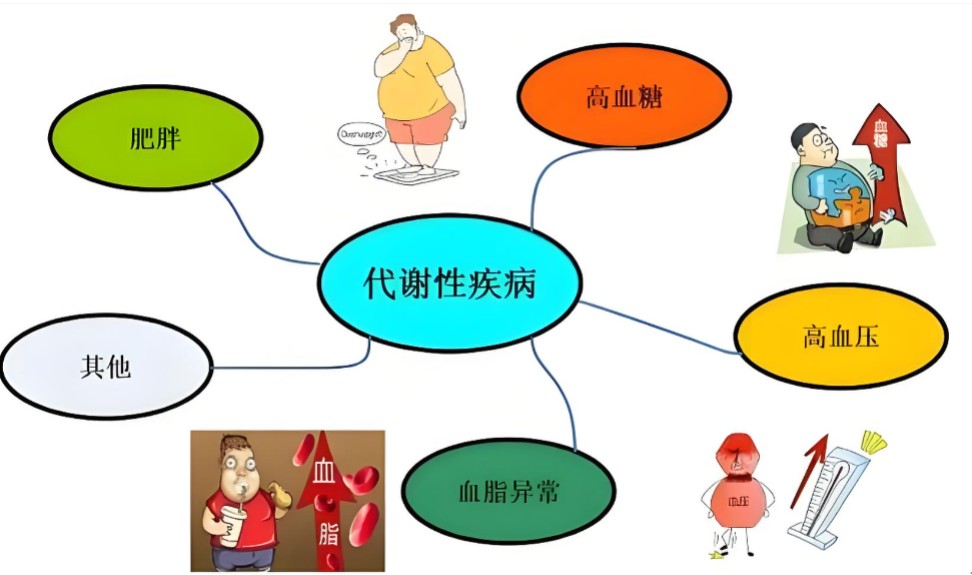 1786092779258386.jpg 屏幕截图 2026-08-07 144016.jpg