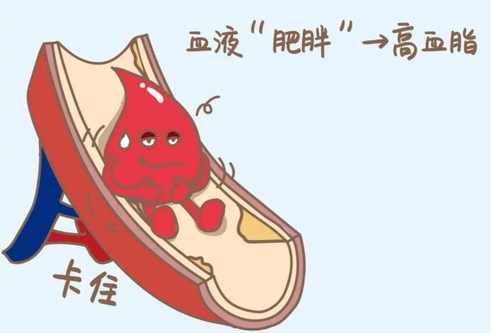 屏幕截图 2026-08-07 180255.jpg
