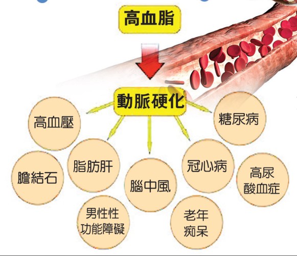 1786099232551189.jpg 屏幕截图 2026-08-07 181836.jpg