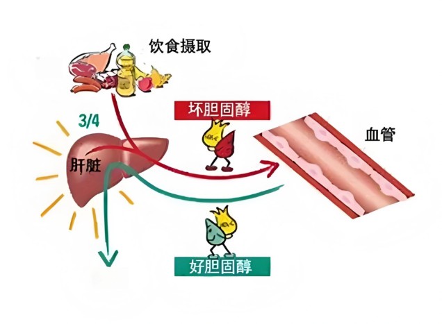 1786342082223909.jpg 屏幕截图 2026-08-10 101109.jpg