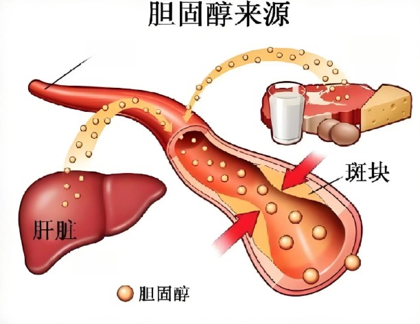 屏幕截图 2026-08-10 101204.jpg