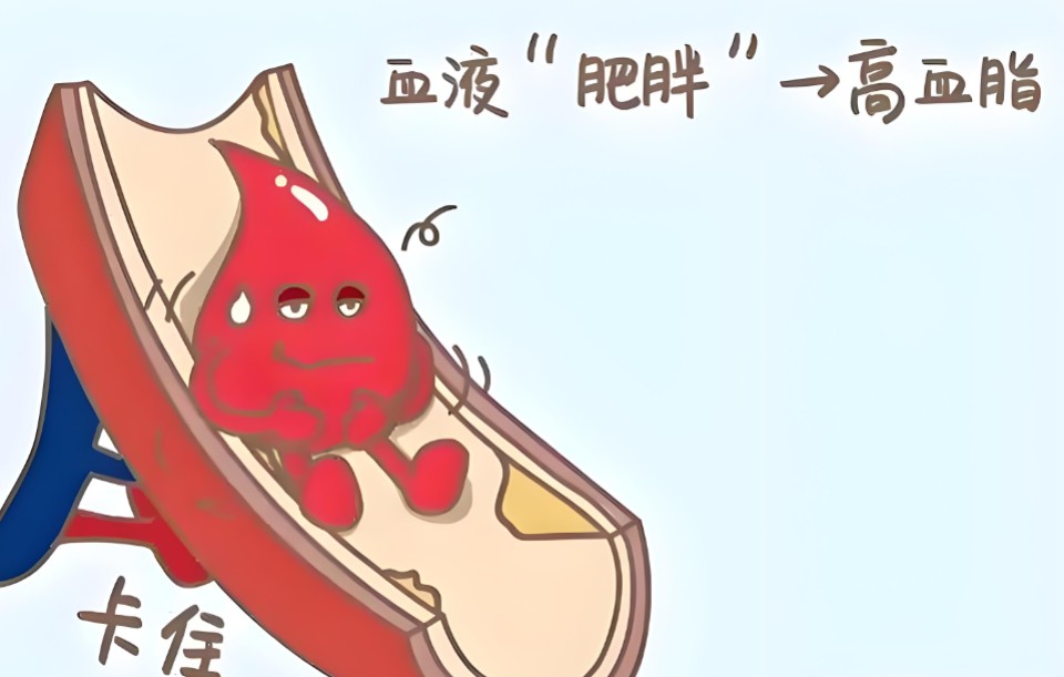 1786342293172852.jpg 屏幕截图 2026-08-10 104207.jpg