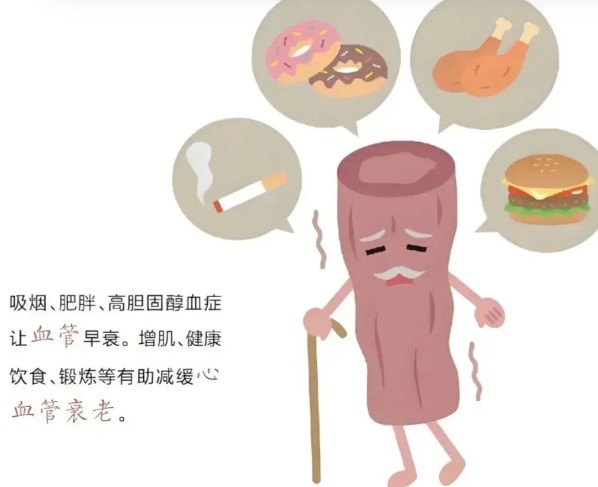 1786342416975986.jpg 屏幕截图 2026-08-10 104745.jpg