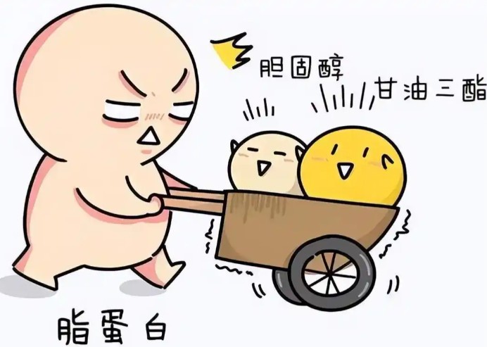 屏幕截图 2026-08-10 110307.jpg