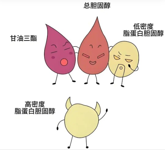 屏幕截图 2026-08-10 110420.jpg