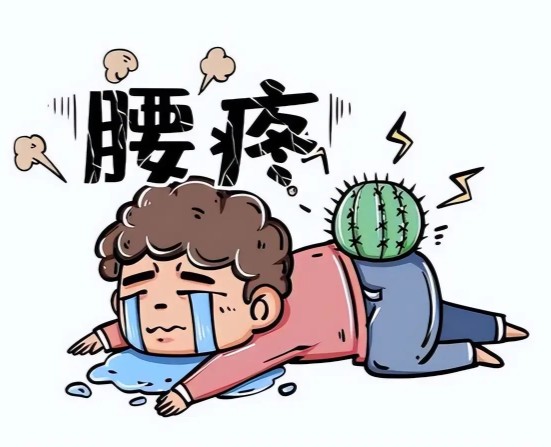 1786359097263822.jpg 屏幕截图 2026-08-10 114941.jpg