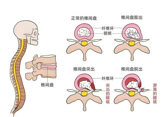 屏幕截图 2026-08-10 115317.jpg