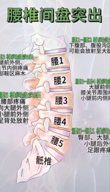 屏幕截图 2026-08-10 115815.jpg