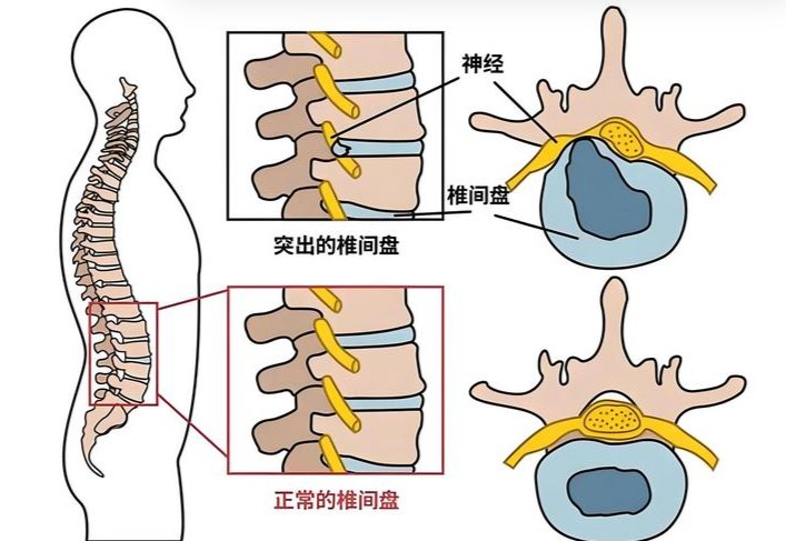 1786359398892065.jpg 屏幕截图 2026-08-10 120040.jpg