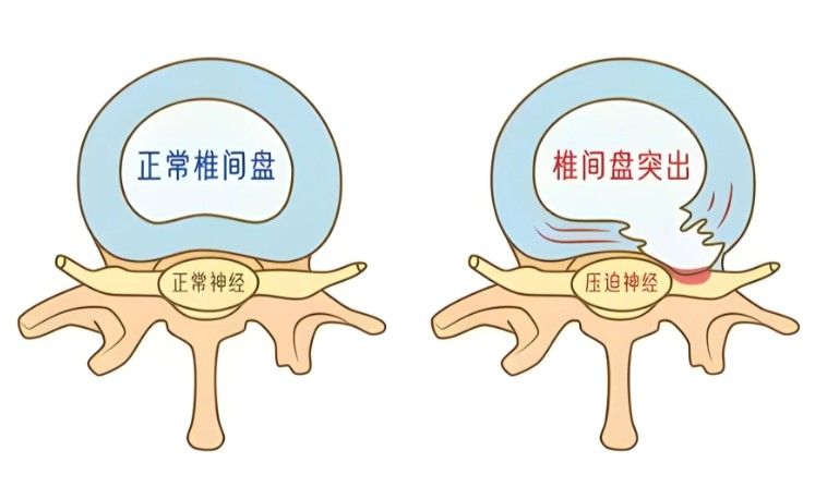 1786359450232708.jpg 屏幕截图 2026-08-10 120102.jpg