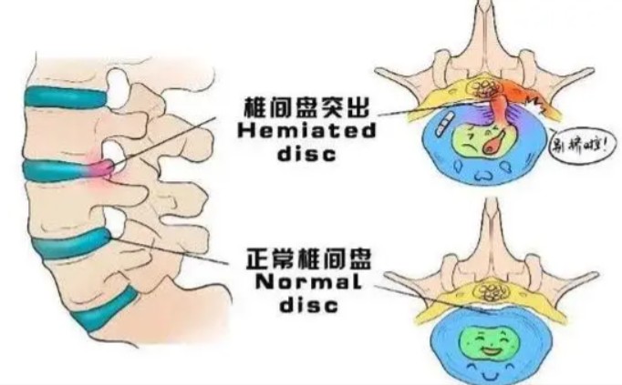 1786359496561781.jpg 屏幕截图 2026-08-10 120237.jpg