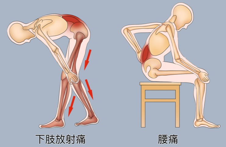 1786359518724914.jpg 屏幕截图 2026-08-10 120331.jpg