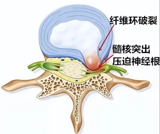 1786359551933944.jpg 屏幕截图 2026-08-10 120424.jpg