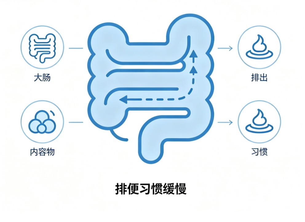 习惯性便秘