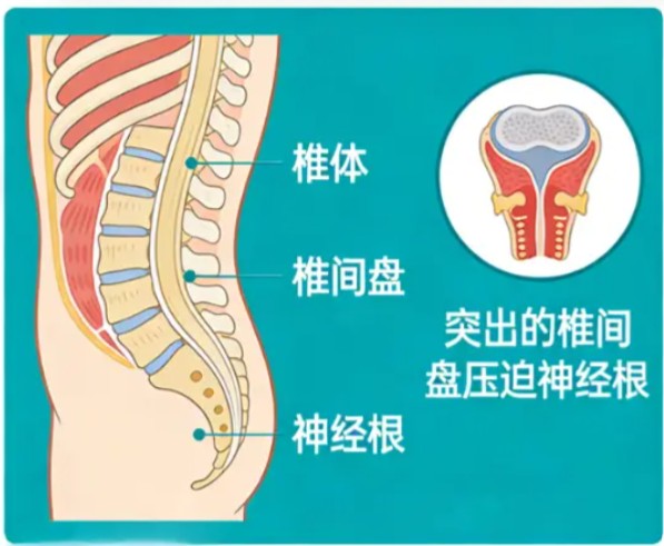 1786431063201929.jpg 屏幕截图 2026-08-11 105621.jpg