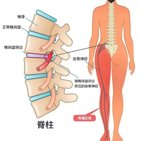 1786431069456818.jpg 屏幕截图 2026-08-11 105658.jpg