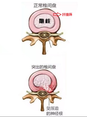 1786431076937109.jpg 屏幕截图 2026-08-11 105729.jpg