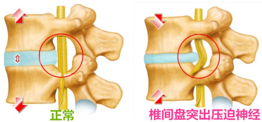 1786431169109144.jpg 屏幕截图 2026-08-11 110209.jpg