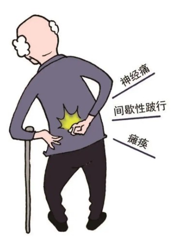 1786431273226578.jpg 屏幕截图 2026-08-11 111144.jpg