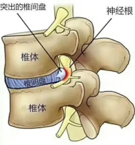 1786431319979732.jpg 屏幕截图 2026-08-11 111301.jpg