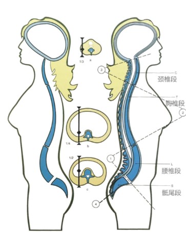 1786431557761260.jpg 屏幕截图 2026-08-11 112925.jpg