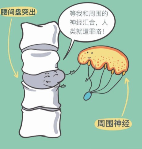 1786431602499999.jpg 屏幕截图 2026-08-11 113118.jpg