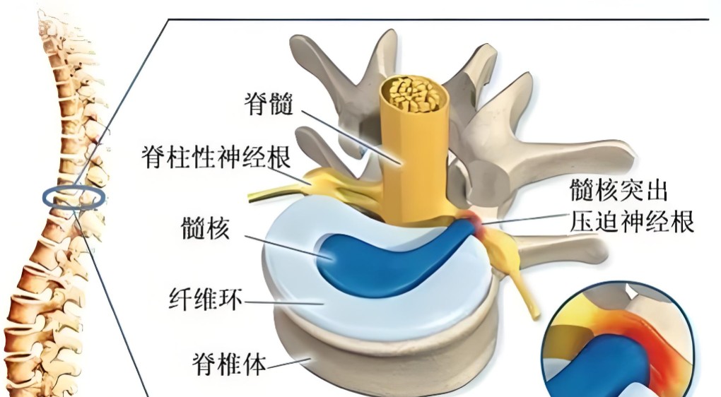 1786431627387231.jpg 屏幕截图 2026-08-11 113359.jpg