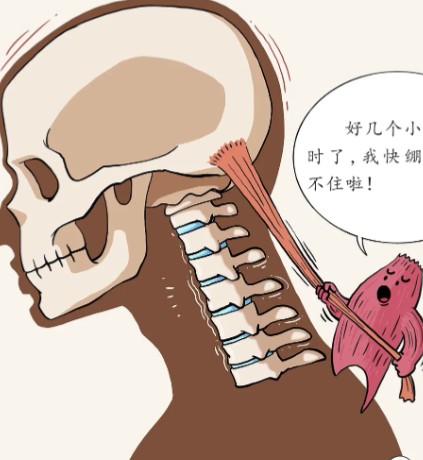 1786437558322281.jpg 屏幕截图 2026-08-11 114216.jpg