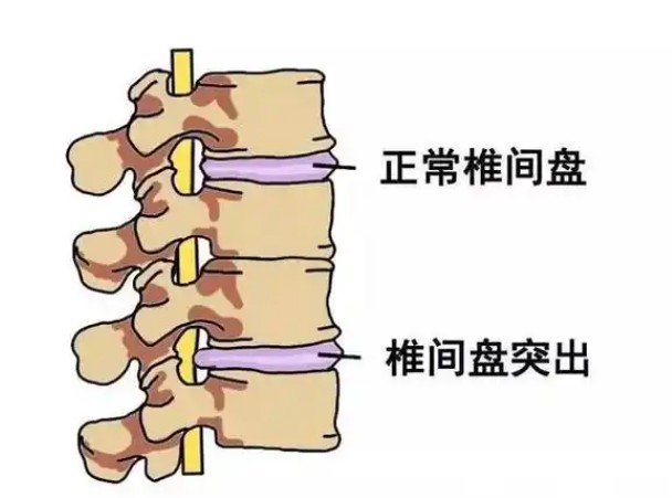 屏幕截图 2026-08-11 114423.jpg