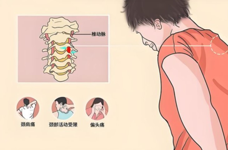 屏幕截图 2026-08-11 114526.jpg