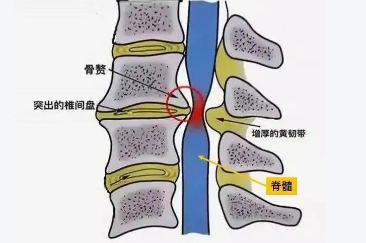 1786437902958678.jpg 屏幕截图 2026-08-11 115931.jpg